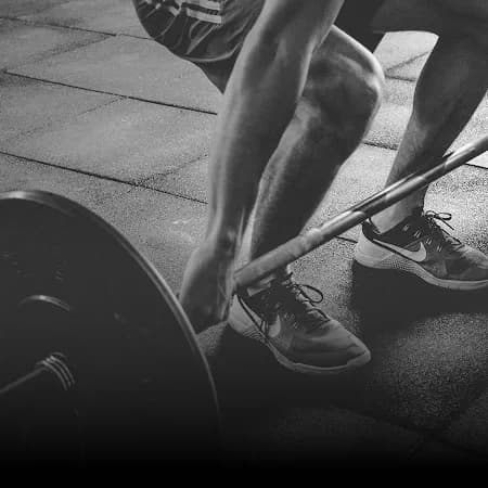 Entrenamiento de Fuerza